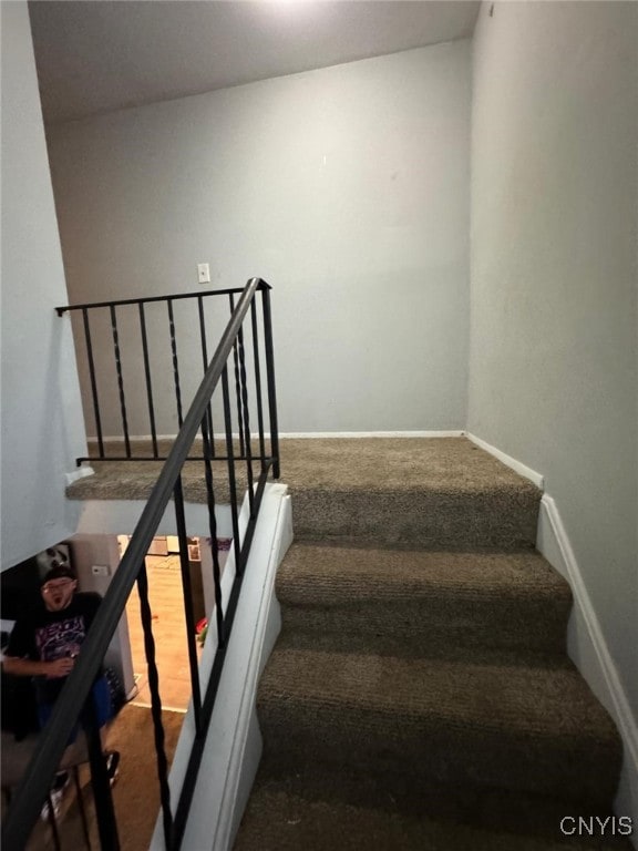 stairway featuring carpet