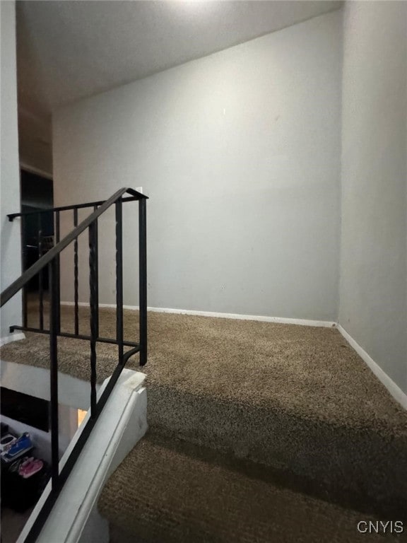 stairway with carpet flooring