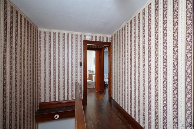 hall featuring crown molding and dark wood-type flooring