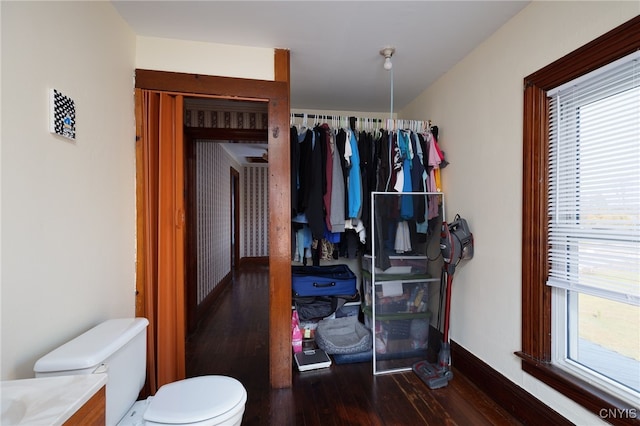 interior space with vanity, hardwood / wood-style floors, and toilet