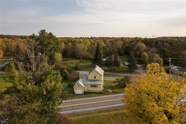 bird's eye view