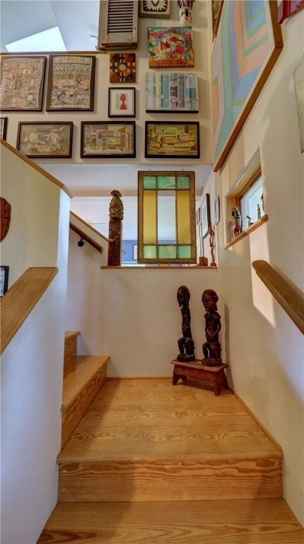 staircase featuring wood-type flooring