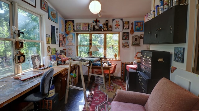 home office featuring a wealth of natural light and dark wood-type flooring