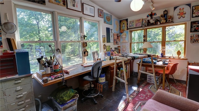 office space with plenty of natural light and vaulted ceiling