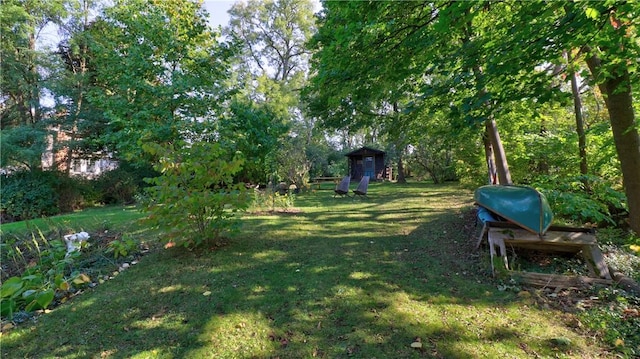 view of yard featuring a storage unit