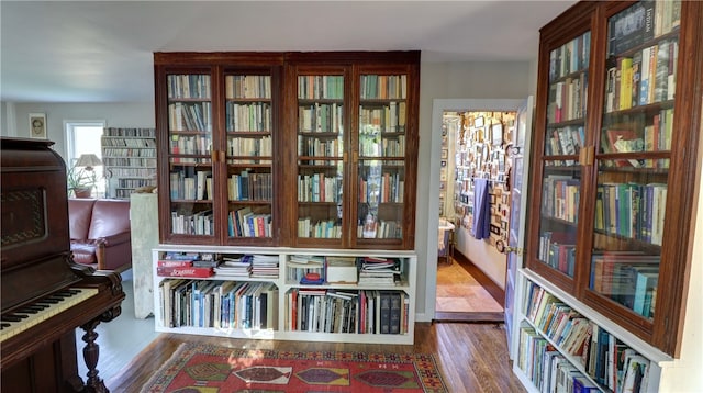 misc room with wood-type flooring