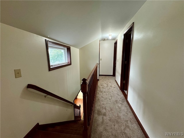 stairway featuring lofted ceiling and carpet