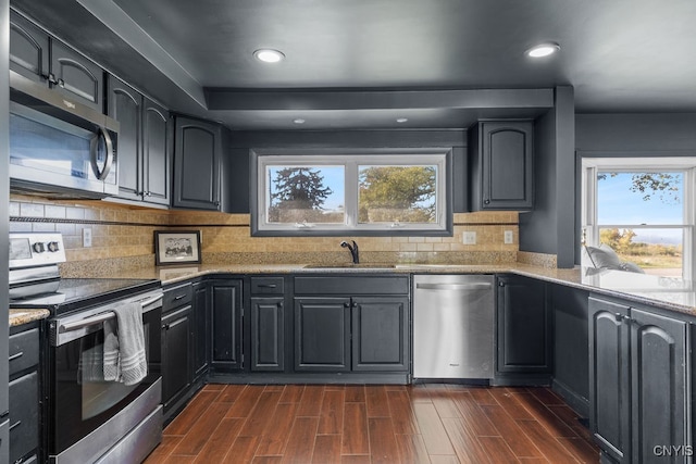 kitchen with plenty of natural light, appliances with stainless steel finishes, sink, and dark hardwood / wood-style flooring