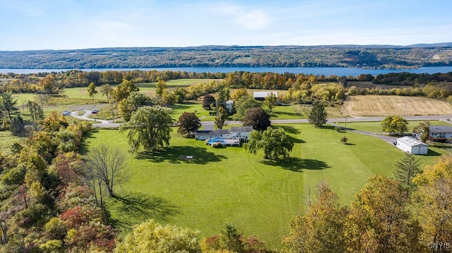 drone / aerial view with a water view and a rural view