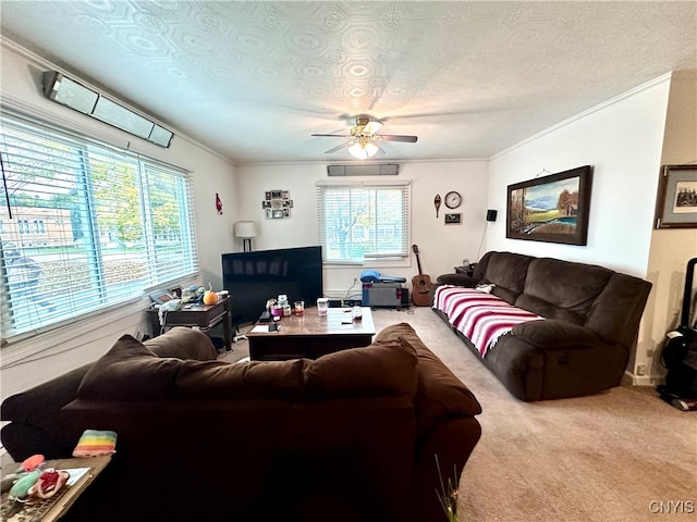 living room with crown molding, carpet, a textured ceiling, and ceiling fan