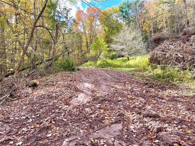 000 County Highway 3, Butternuts, NY 13843
