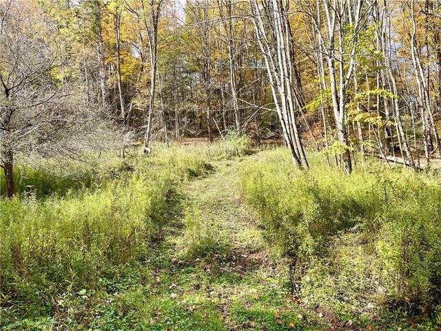 000 County Highway 3, Butternuts, NY 13843