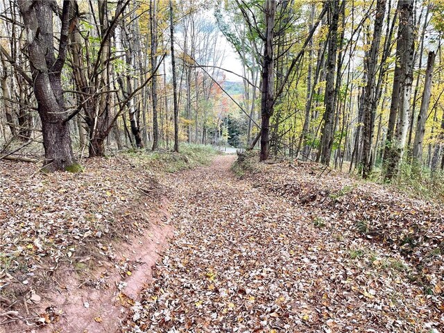 000 County Highway 3, Butternuts, NY 13843