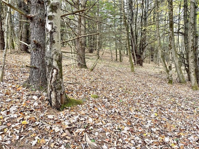 000 County Highway 3, Butternuts, NY 13843