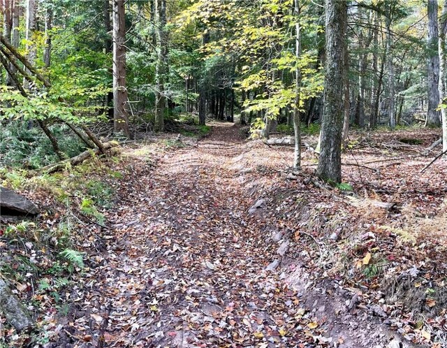 000 County Highway 3, Butternuts, NY 13843