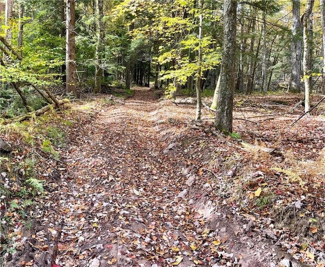 000 County Highway 3, Butternuts, NY 13843