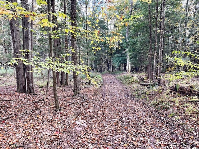 000 County Highway 3, Butternuts, NY 13843