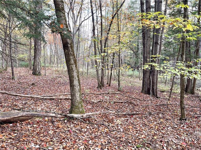 000 County Highway 3, Butternuts, NY 13843