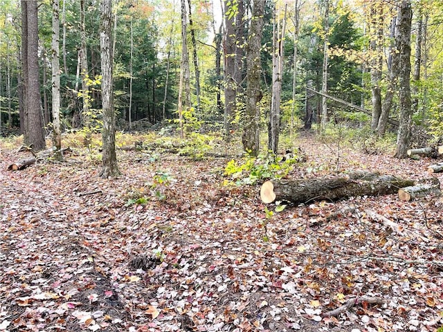 000 County Highway 3, Butternuts, NY 13843