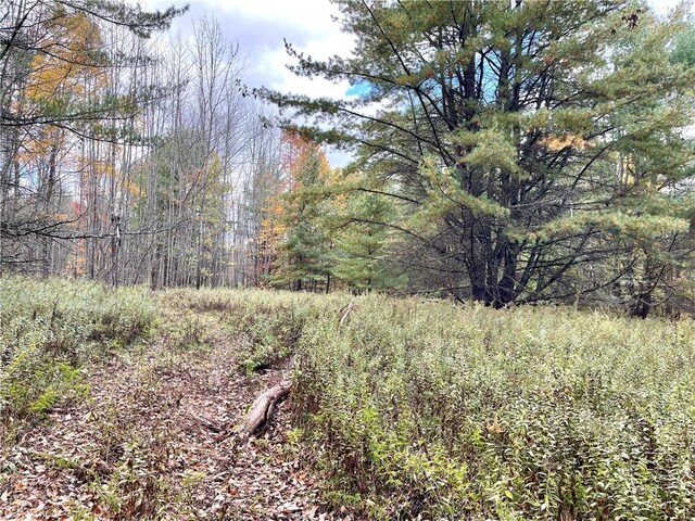 000 County Highway 3, Butternuts, NY 13843