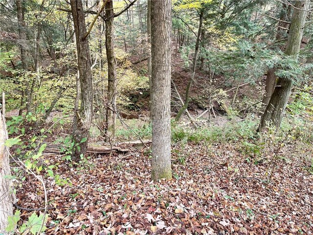 000 County Highway 3, Butternuts, NY 13843