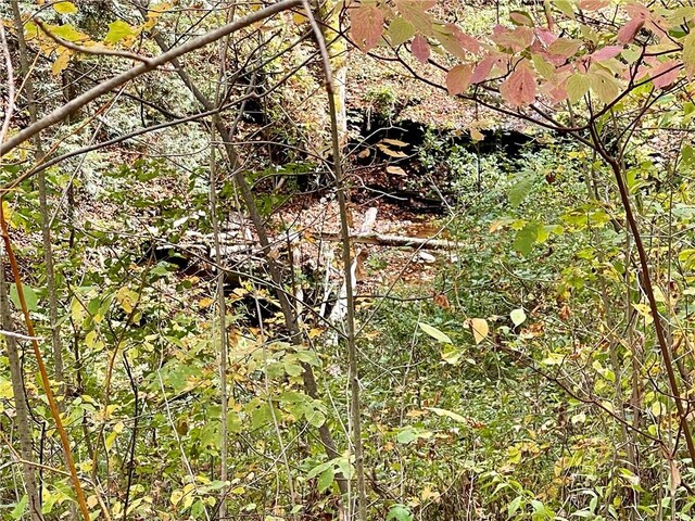 000 County Highway 3, Butternuts, NY 13843