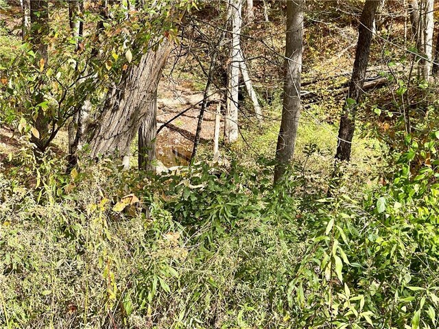 000 County Highway 3, Butternuts, NY 13843