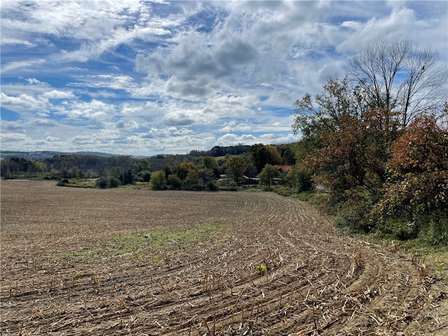 view of local wilderness featuring a rural view