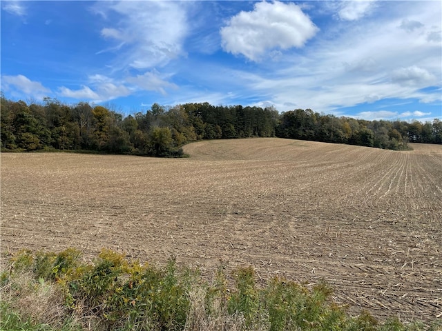 view of local wilderness featuring a rural view