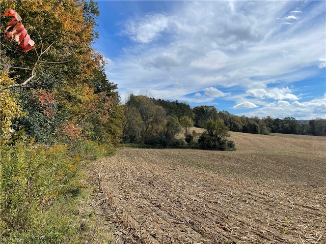 view of nature