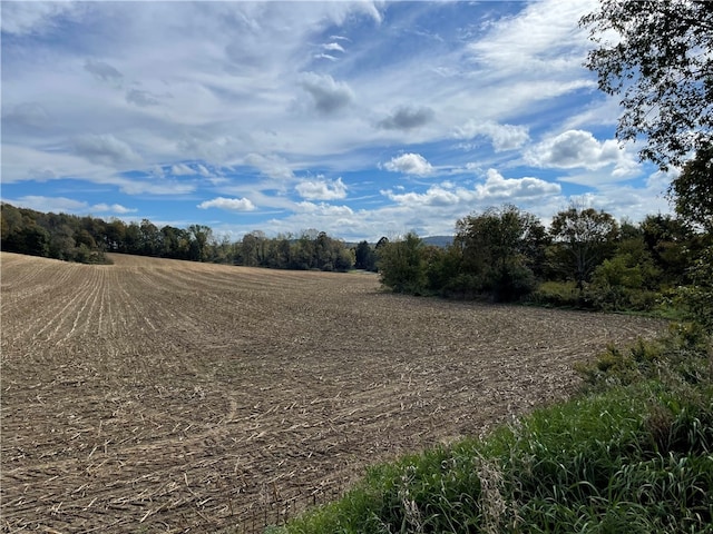 view of landscape featuring a rural view