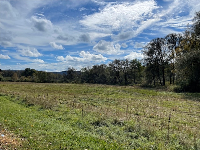 view of landscape with a rural view