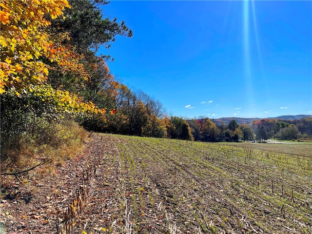 view of yard featuring a rural view