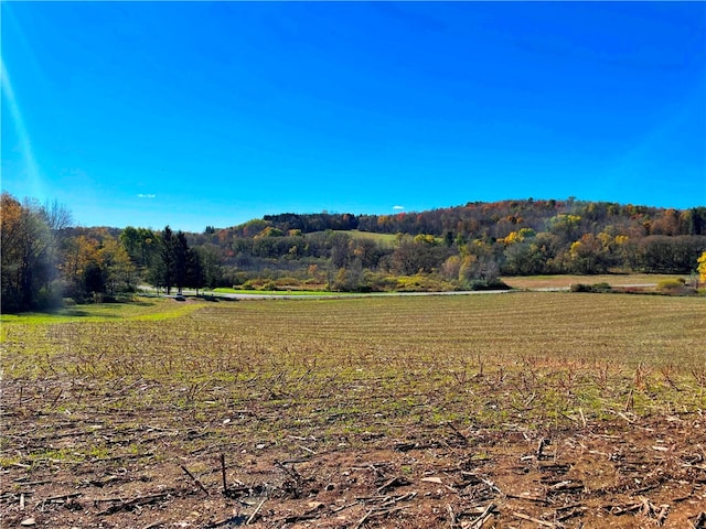 view of mountain feature featuring a rural view