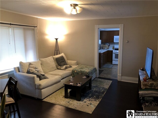 living room featuring ornamental molding, sink, and dark hardwood / wood-style flooring