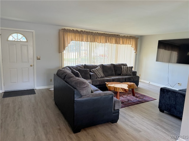 living room featuring hardwood / wood-style flooring