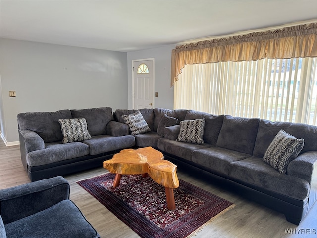 living room featuring hardwood / wood-style floors