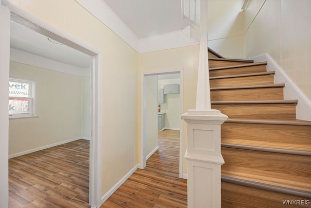 staircase featuring crown molding and hardwood / wood-style flooring