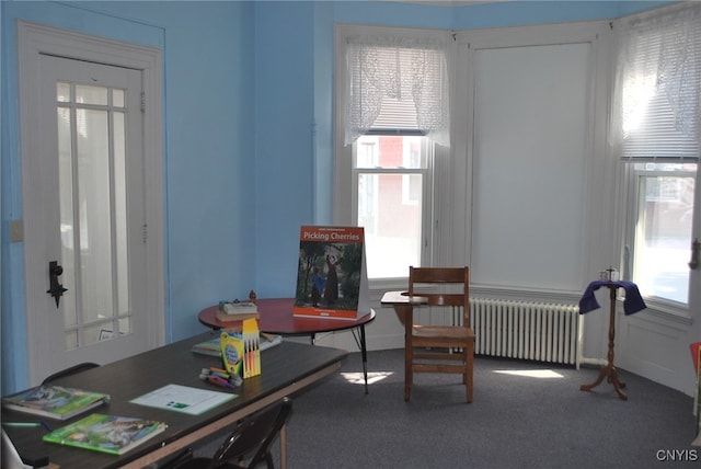 interior space with radiator heating unit and carpet flooring