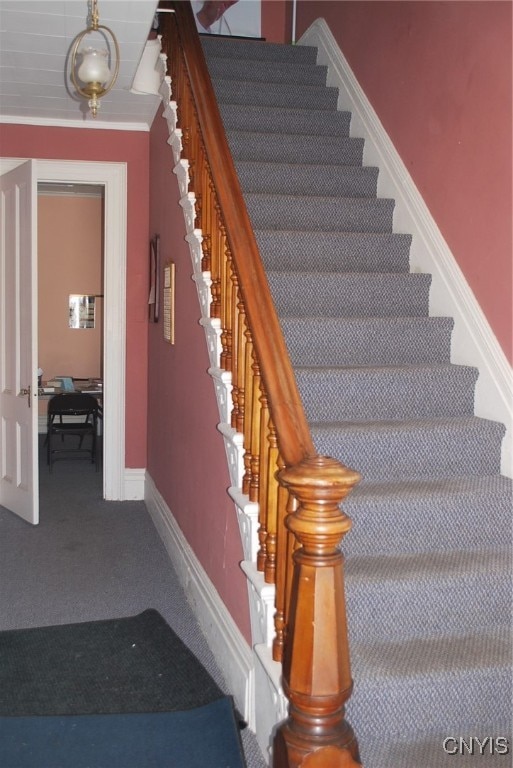 staircase featuring carpet floors