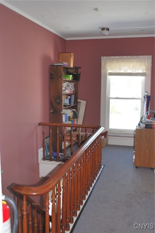 interior space featuring ornamental molding and carpet flooring