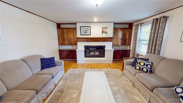 living room featuring light hardwood / wood-style floors