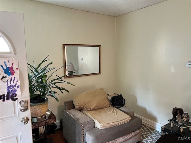 sitting room with a textured ceiling