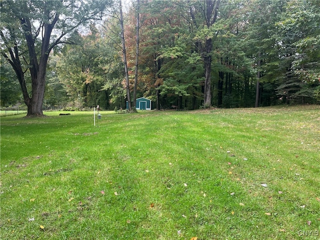 view of yard with a storage shed