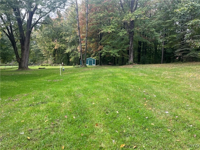 view of yard featuring a shed