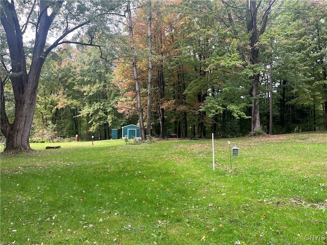 view of yard with a storage unit