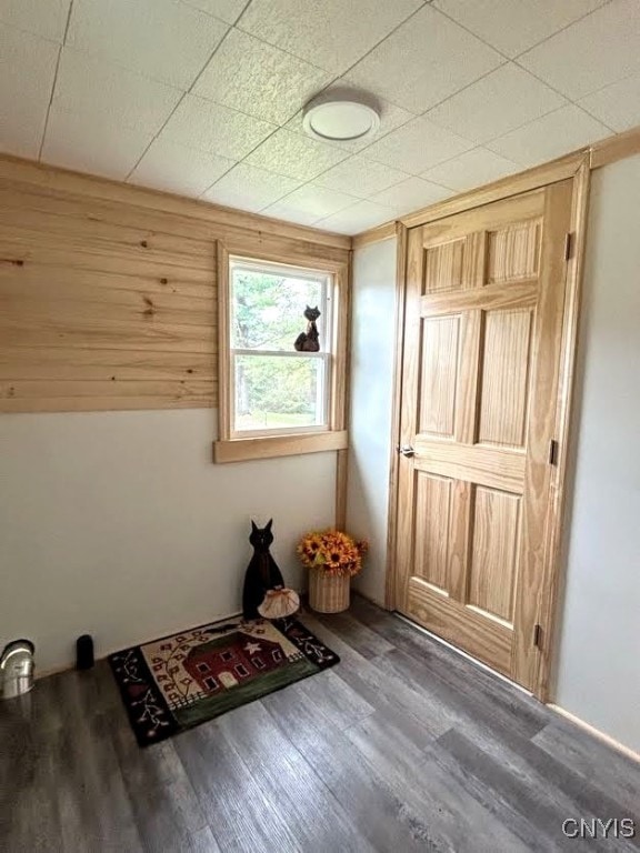 interior space with dark wood-type flooring