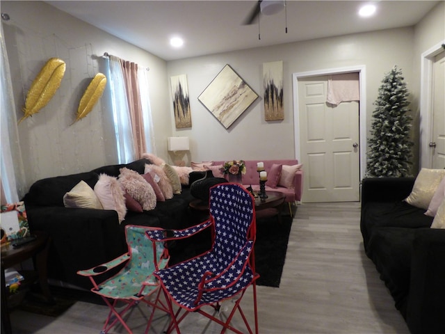 living room featuring light hardwood / wood-style floors