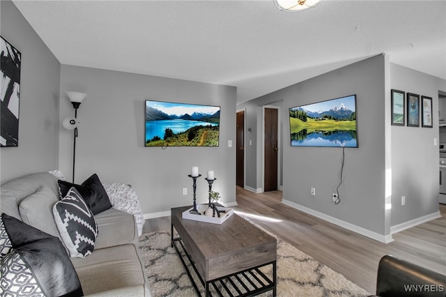 living room featuring light hardwood / wood-style flooring