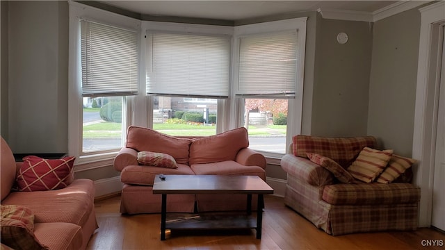 living room with crown molding, a healthy amount of sunlight, and light wood-type flooring